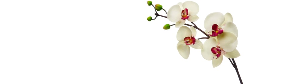 Online Terminbuchung